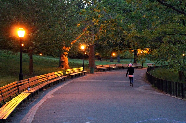 lampy v parku.jpg
